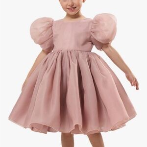 Pink Puff Sleeve Girls Dress size 9-10
